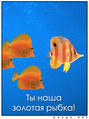  (300x400, 27Kb)