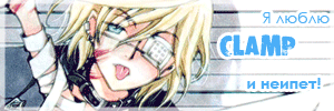  (300x100, 153Kb)