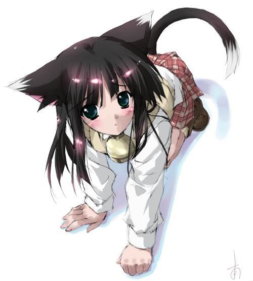 http://img0.liveinternet.ru/images/attach/b/0/16580/16580403_0df334f69638.jpg