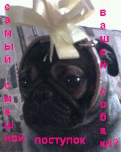  (176x220, 8Kb)