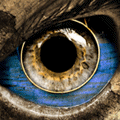 (120x120, 12Kb)