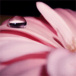 15685691_a08767eb2743 (150x150, 30Kb)