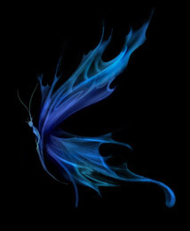 (214x261, 15Kb)