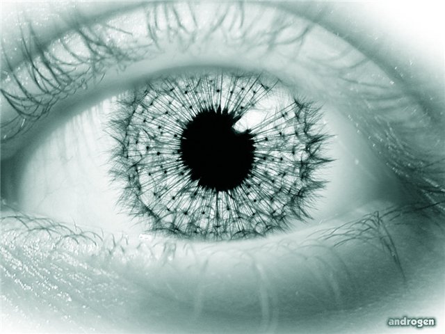  (640x480, 60Kb)