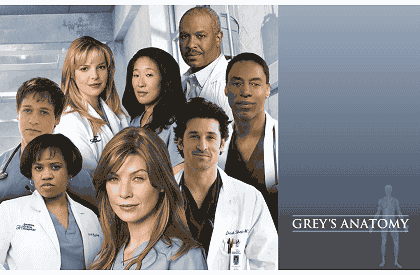 GreysAnatomy (420x275, 35Kb)