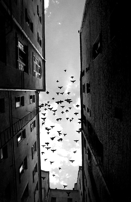  (454x700, 200Kb)