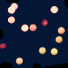  (100x100, 27Kb)