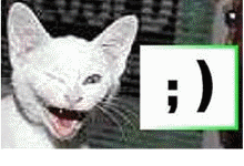  (220x150, 167Kb)