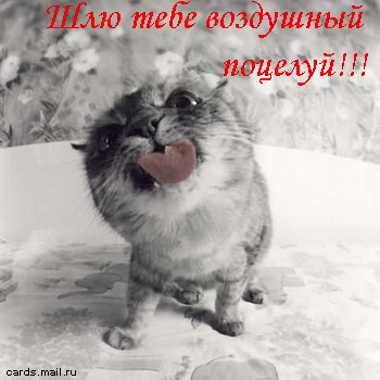 potcelyyy111 (350x350, 36Kb)