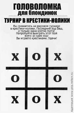  (313x480, 32Kb)