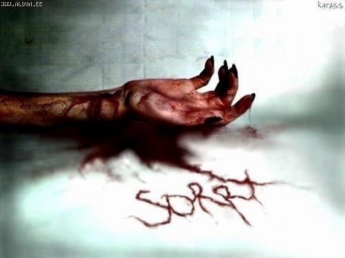 sorry (500x375, 20Kb)