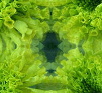 go (200x183, 38Kb)