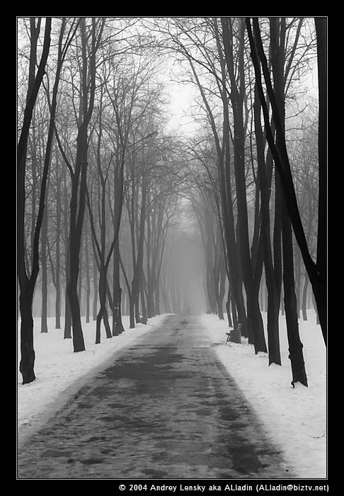  (486x700, 89Kb)