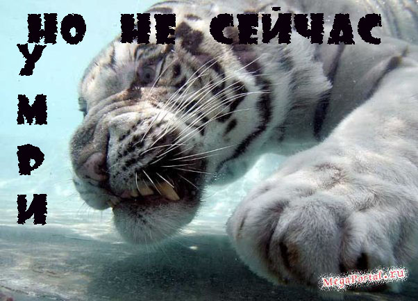  (602x433, 70Kb)