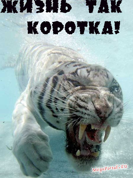  (450x602, 68Kb)