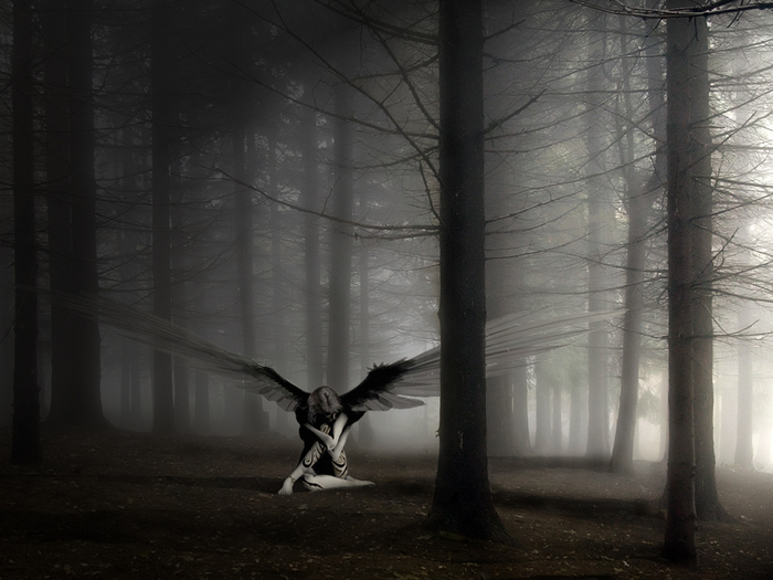 15695647_6547 (700x525, 264Kb)