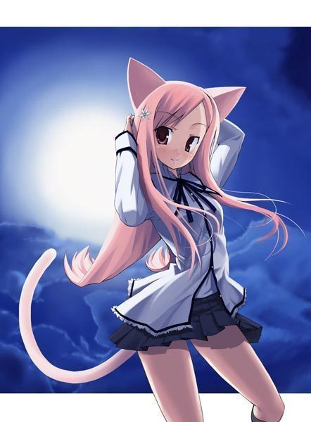  (442x600, 37Kb)