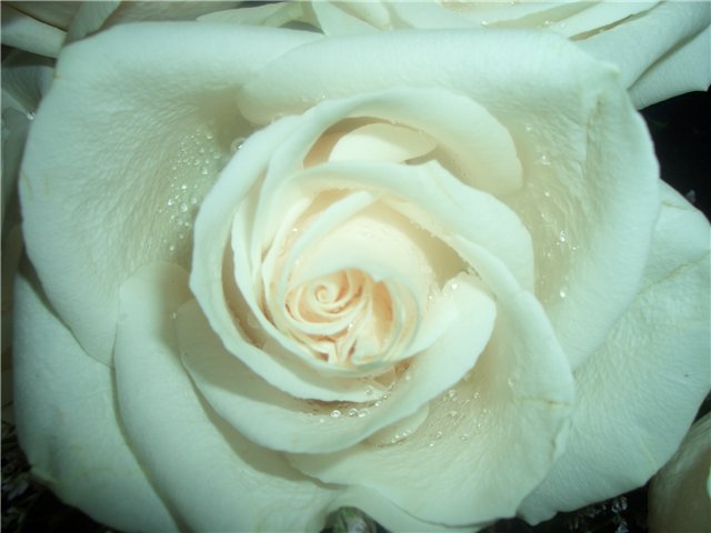  (640x480, 39Kb)
