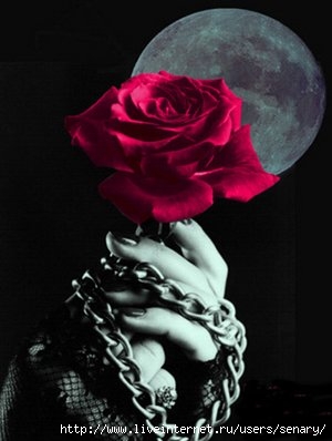  (300x398, 57Kb)