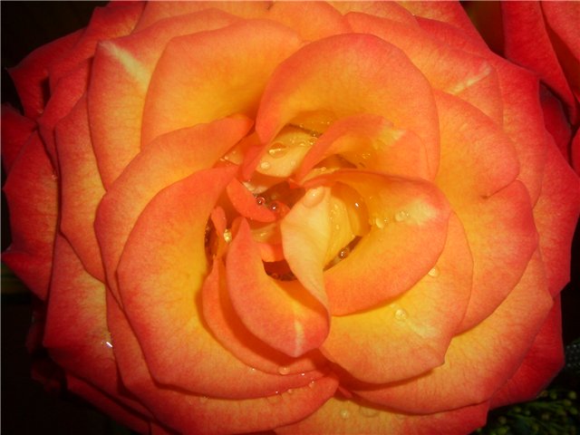  (640x480, 49Kb)