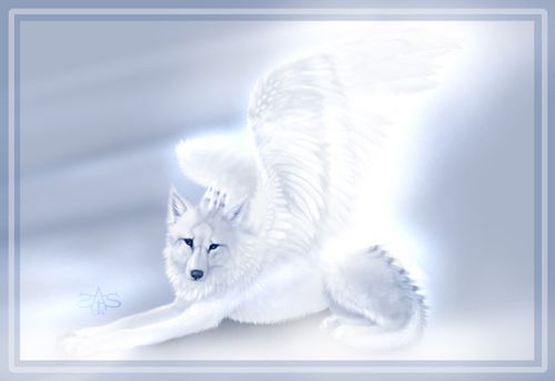  (500x344, 16Kb)