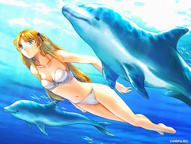 (650x488, 62Kb)
