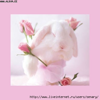  (350x350, 35Kb)