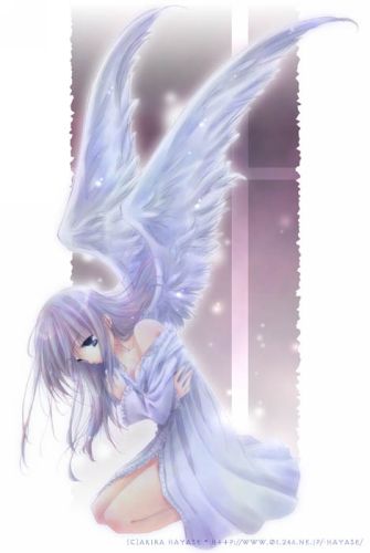  (335x500, 18Kb)