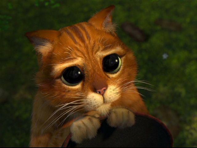  (640x480, 33Kb)