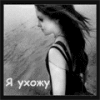  (100x100, 39Kb)