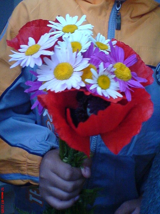 DSC02113 (525x700, 85Kb)