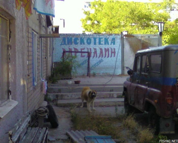  (700x560, 62Kb)