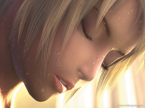  (500x375, 29Kb)