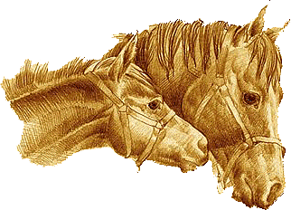 horse (322x232, 56Kb)