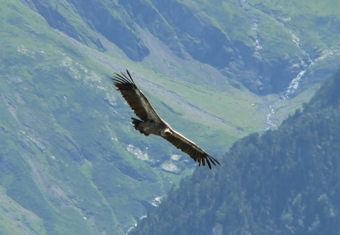  (699x483, 121Kb)