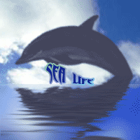  (200x200, 49Kb)