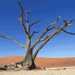  (150x150, 39Kb)
