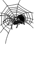  (118x200, 51Kb)