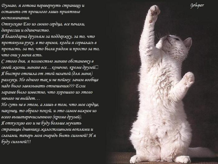  (700x525, 62Kb)