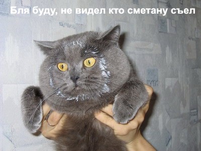  (400x300, 45Kb)
