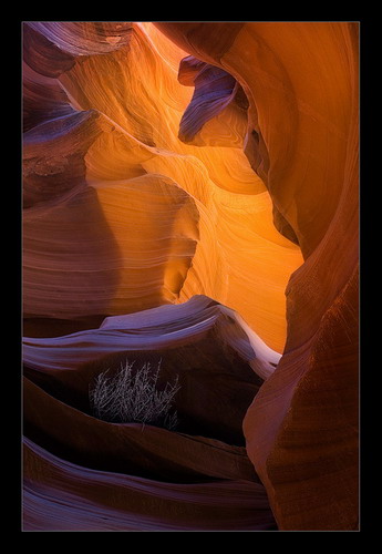  (345x500, 48Kb)