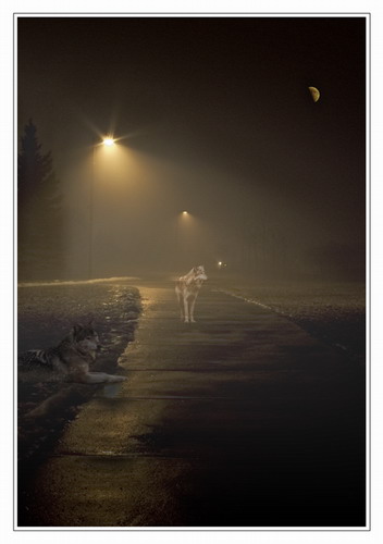  (352x500, 26Kb)
