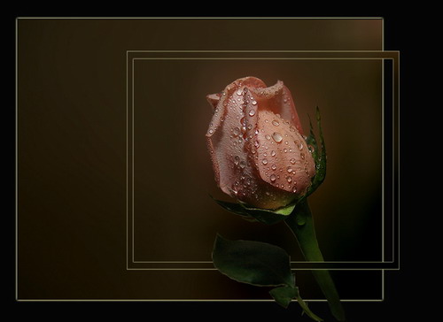  (500x364, 30Kb)