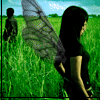  (100x100, 23Kb)