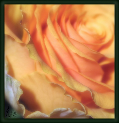  (483x500, 43Kb)
