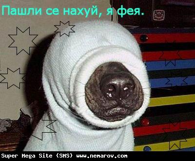  (400x330, 27Kb)