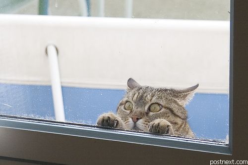  (500x333, 23Kb)