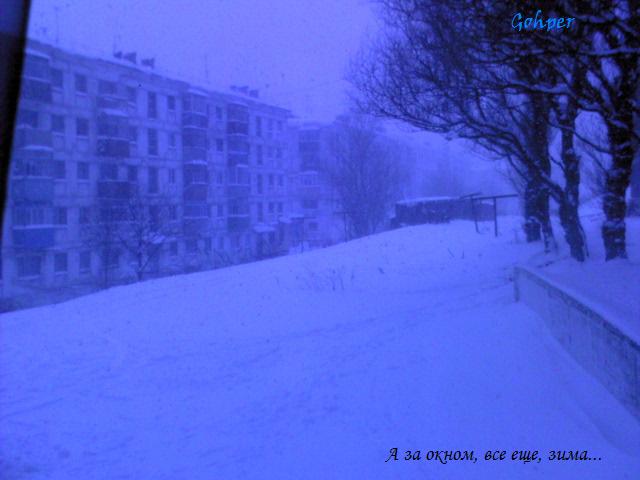  (640x480, 35Kb)