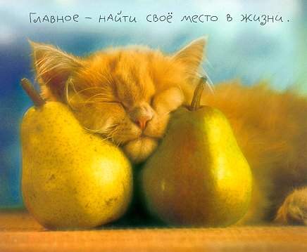  (436x359, 16Kb)