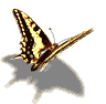  (96x94, 11Kb)